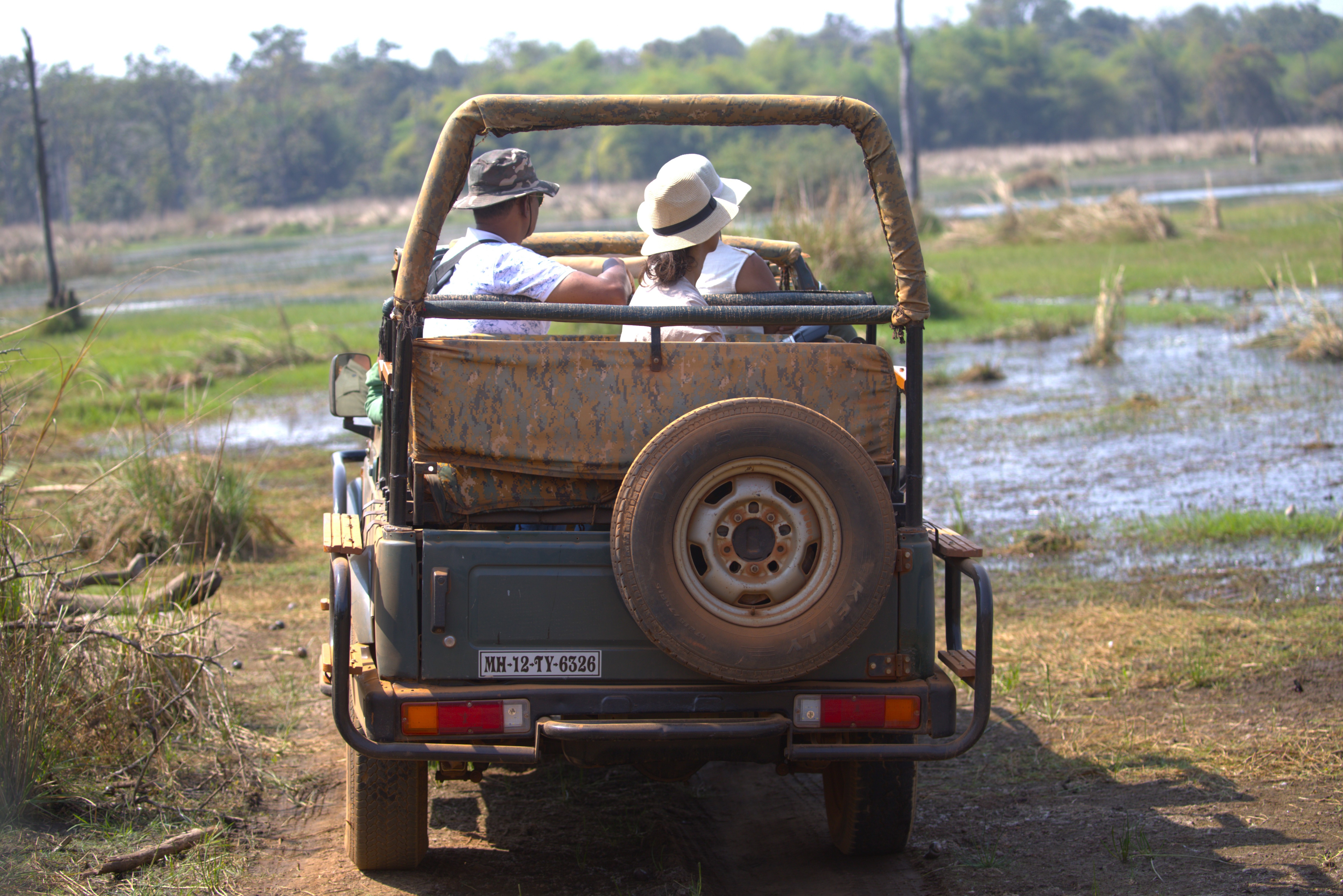 Wildlife Image 3